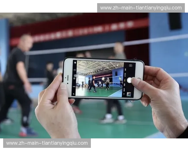 排球转会：从球场到市场，一场关于梦想与价值的迁徙